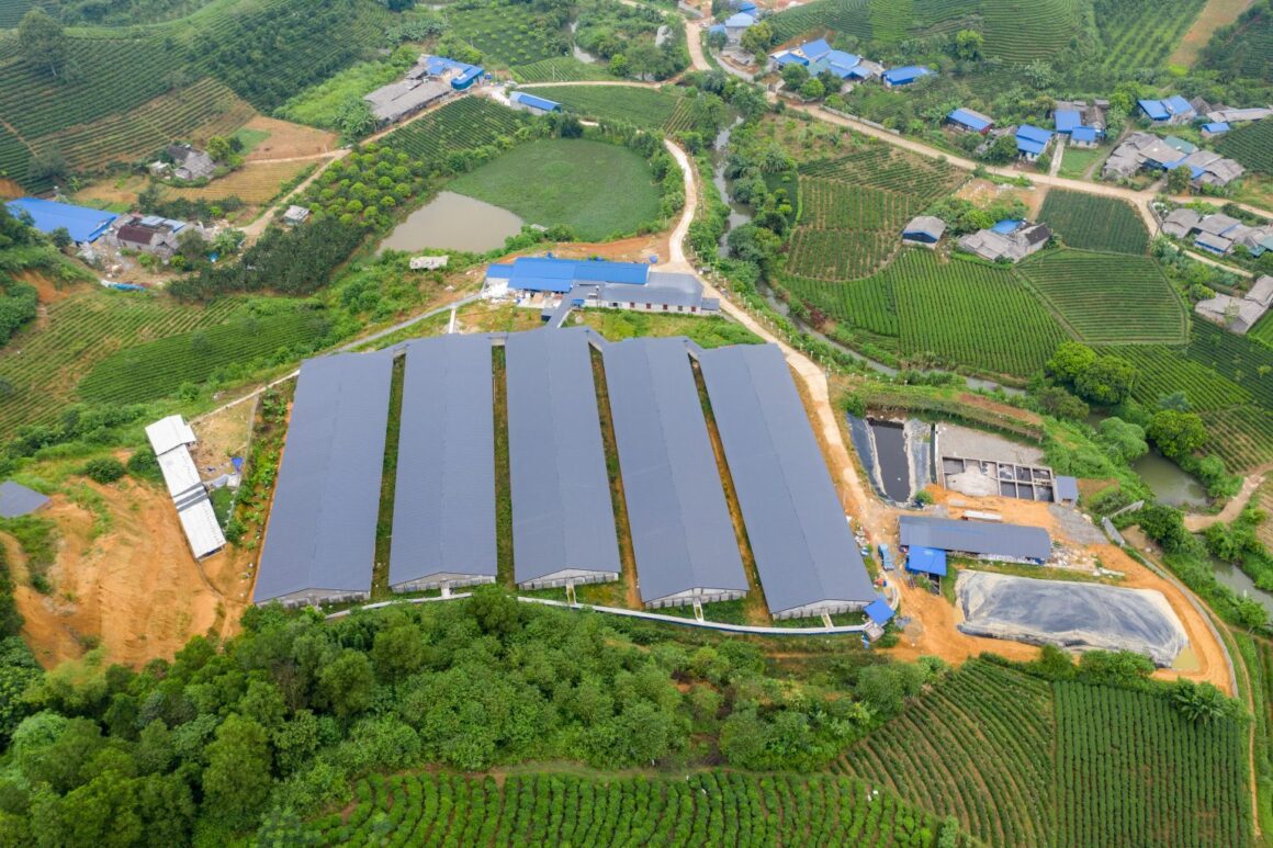Bioenergy on commercial farms in Vietnam