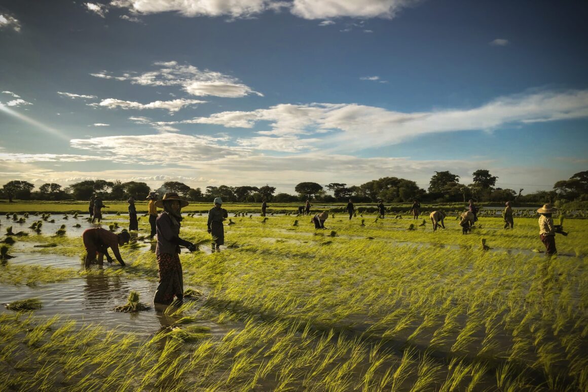 Pioneer Facility invests in Agros to expand solar irrigation access for smallholder farmers