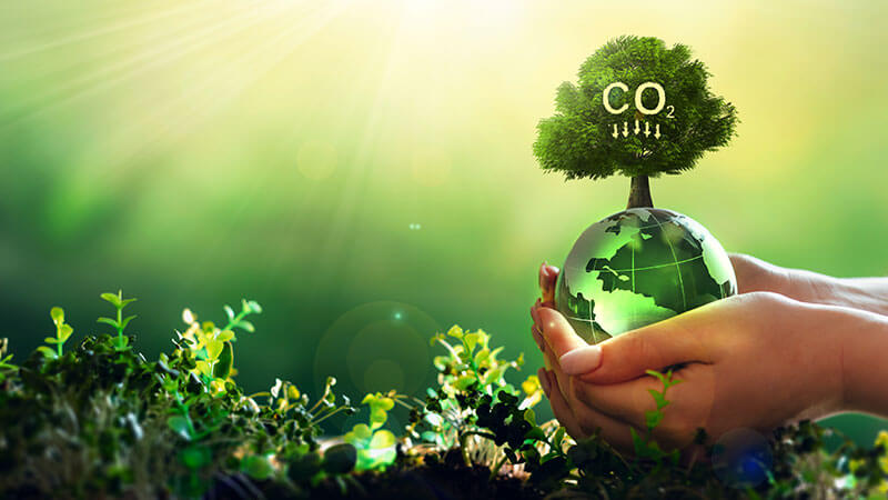 Carbon Finance | Carbon Offset Solutions | Climate Funding