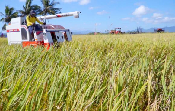 Straw Innovations turns rice straw waste into power
