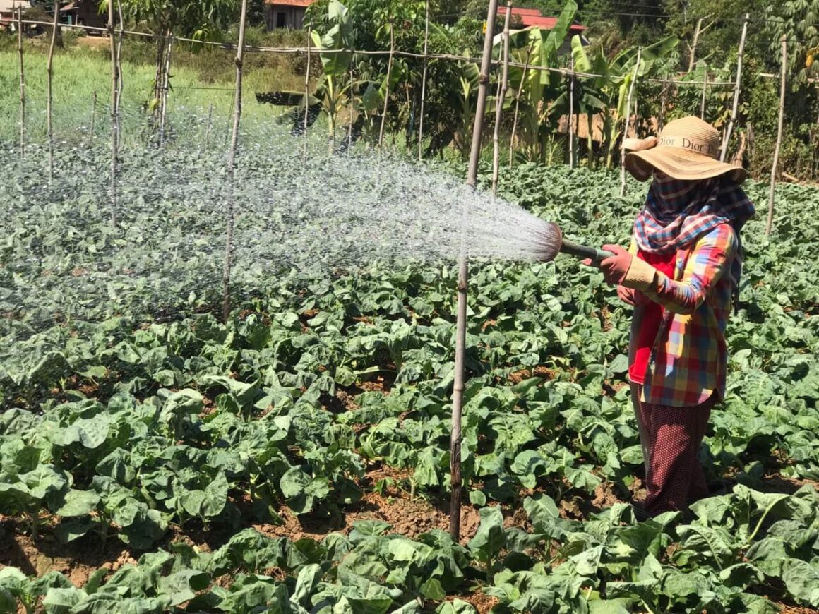 EmPower women for climate resilient societies