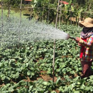 EmPower women for climate resilient societies