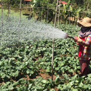 EmPower Women for Climate Resilient Societies