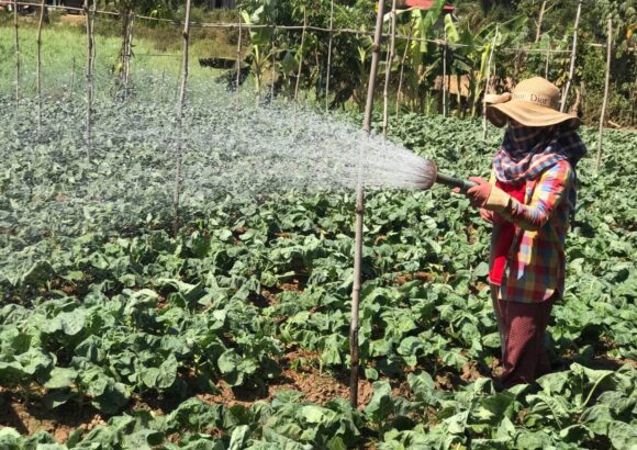858109889_24935 EmPower women for climate resilient societies
