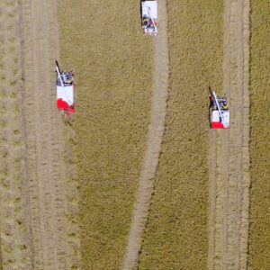 Straw innovations | Green rice drying technology in the Philippines