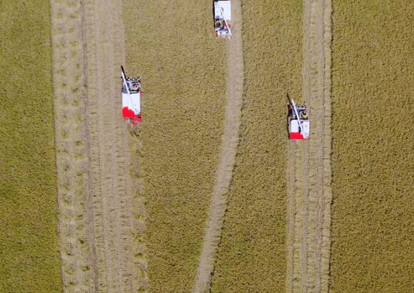 green-rice Straw innovations | Green rice drying technology in the Philippines