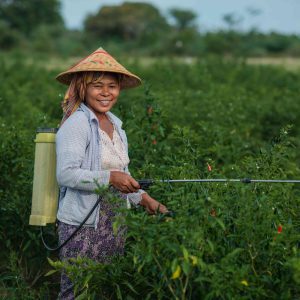 UNEP announced as new partner of Pioneer Facility