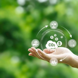Understanding carbon credits price: A simple guide