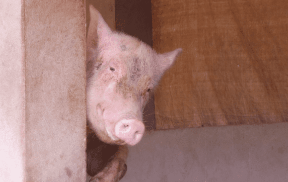 climate funding climate funding