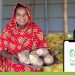the image shows a woman smallholder farmer in Bangaldesh who who is a customer of iFarmer. It alsoshows the iFarmer app that smallholder farmers in the country use