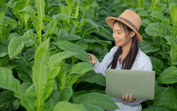 Picture for blog on fundraising climate funding