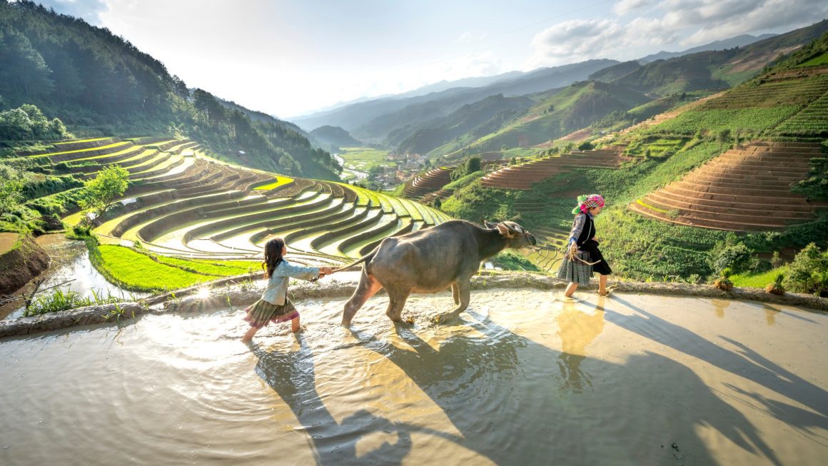 We get it, carbon markets can seem like a maze