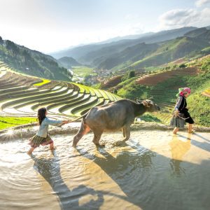 We get it, carbon markets can seem like a maze