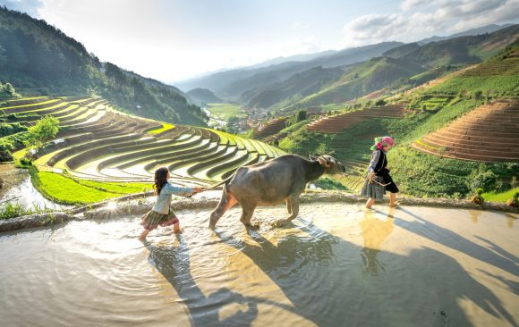 Copy of 2024 Nexus for Development Impact report We get it carbon markets can seem like a maze