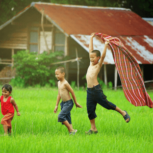 Nexus for Development 2025 Wrapped