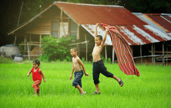 Nexus for Development 2025 Wrapped