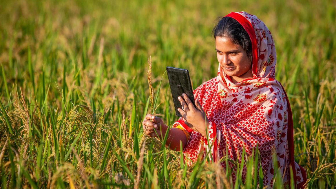 iFarmer | Investing in leading agri-tech innovator in Bangladesh